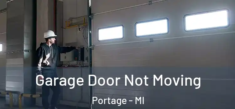  Garage Door Not Moving Portage - MI