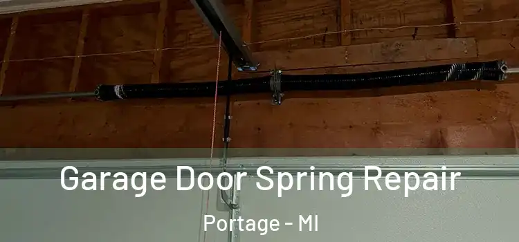 Garage Door Spring Repair Portage - MI