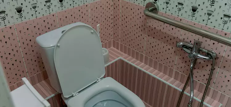Meeting Diverse Needs With Accessible Restroom Solutions in Portage, MI